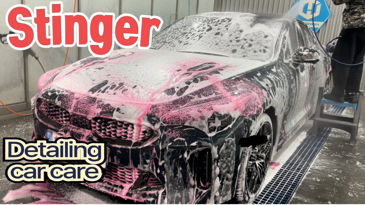 Kia Stinger Detailing car wash/ Deep cleaning