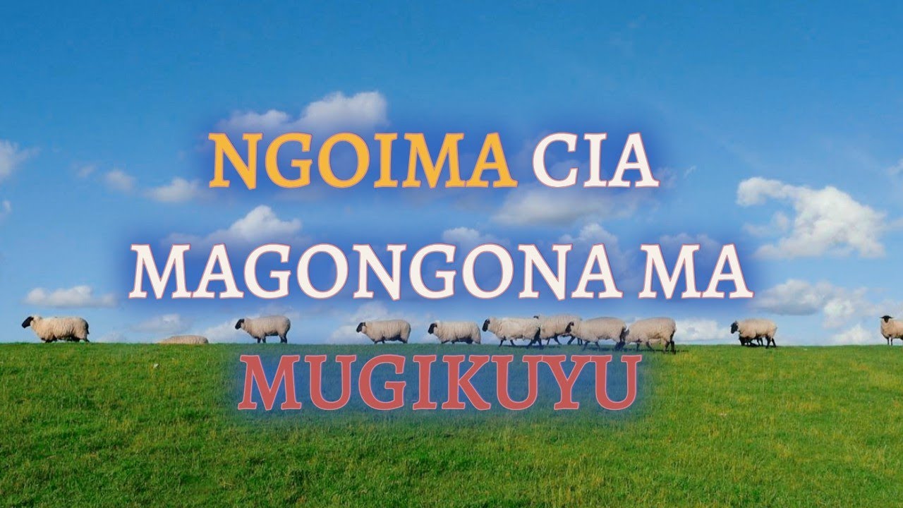 NGOIMA CIA MAGONGONA