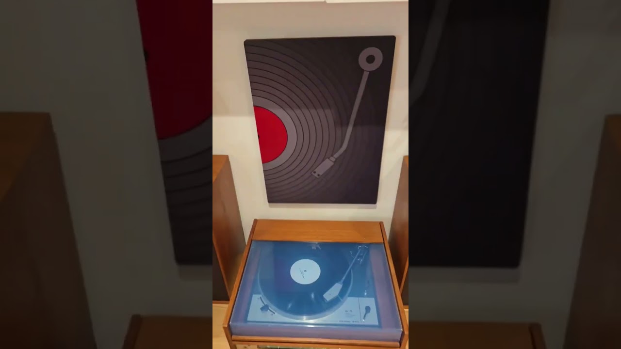 Neon Fields First Vinyl Test Press!