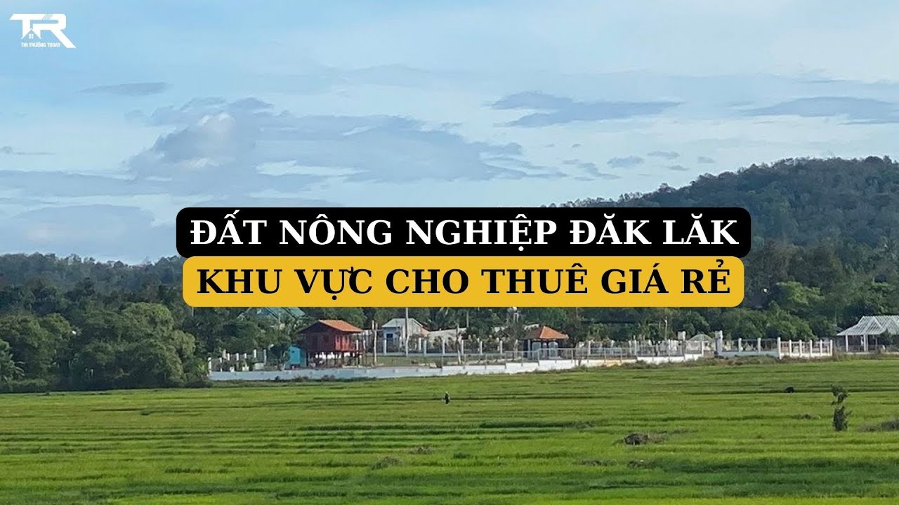 Khu vực cho thuê đất nông nghiệp Đăk Lăk giá rẻ