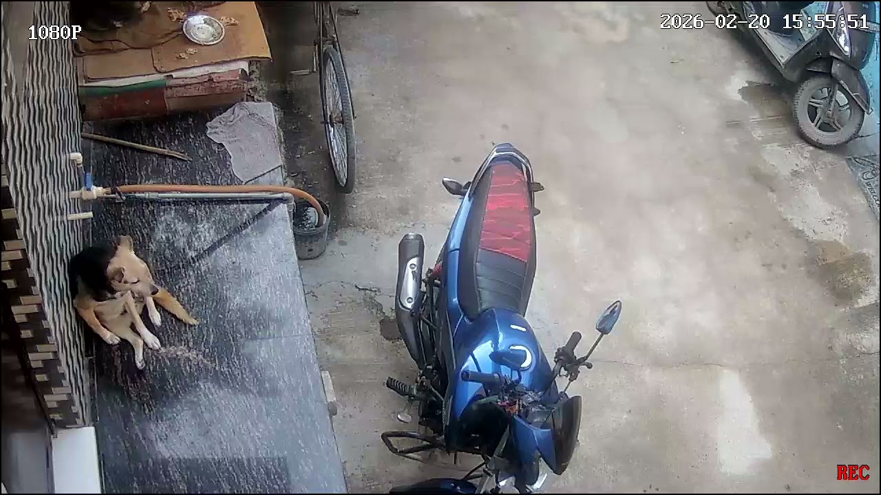 Kaluuu