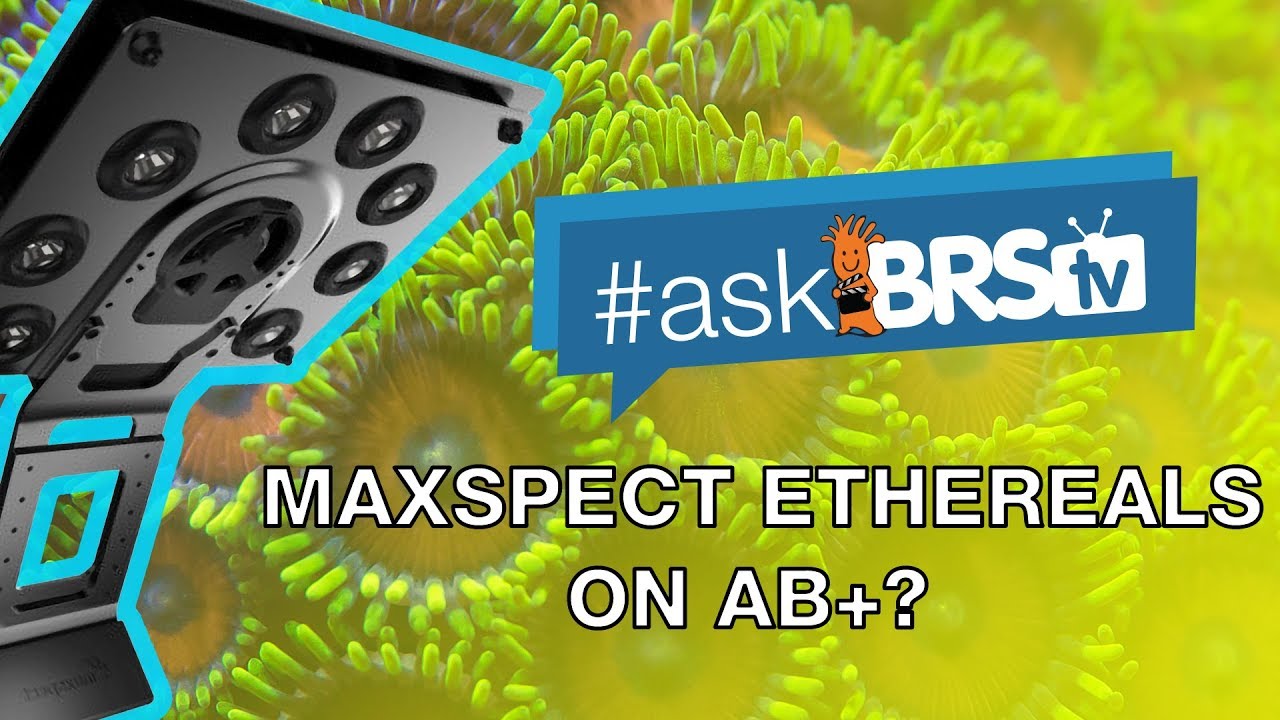 How do I set my Maxspect Ethereal to the AB+ spectrum? | #AskBRStv