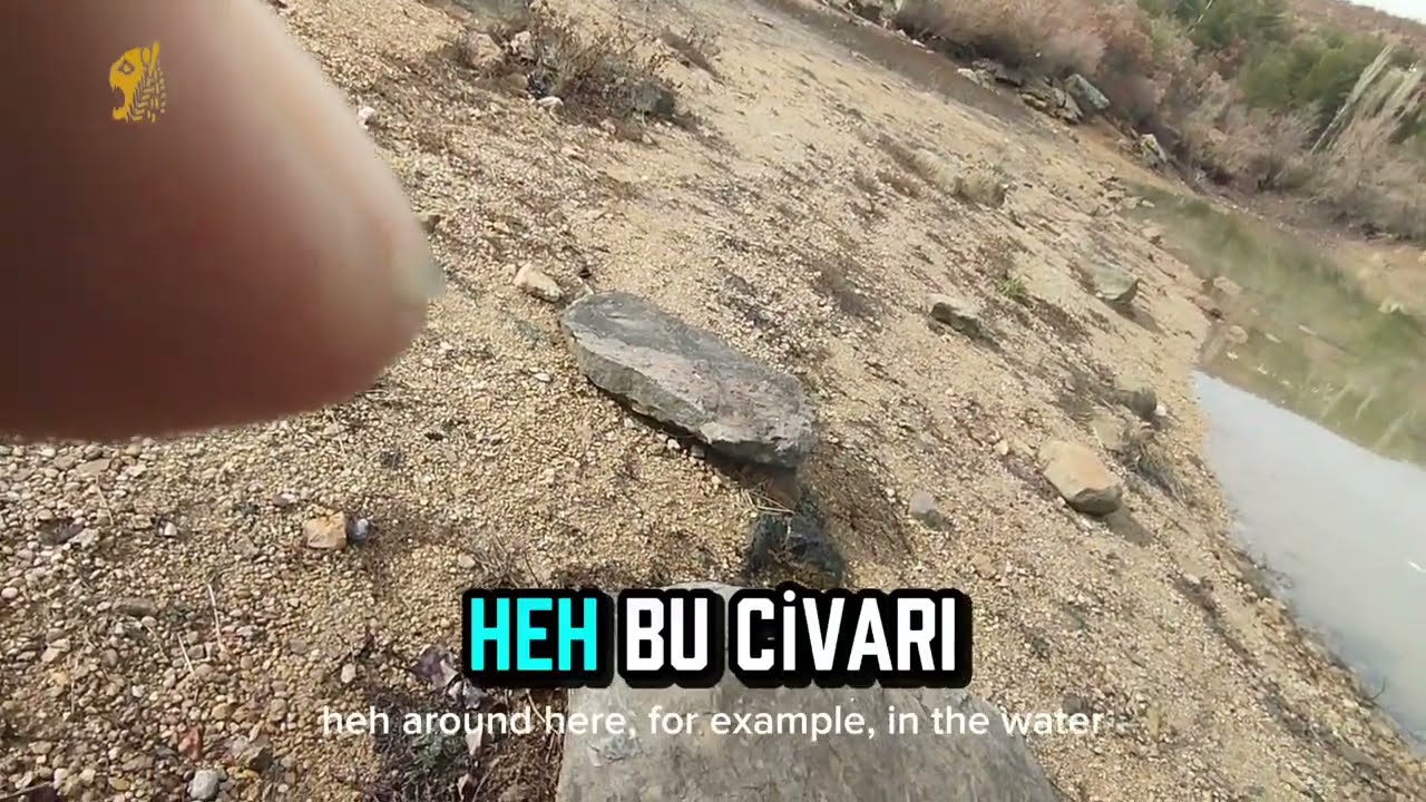 Araziyi Nasıl Okuruz? | Yüzeysel Araştırma ve Beklenmedik Misafirler 🐱