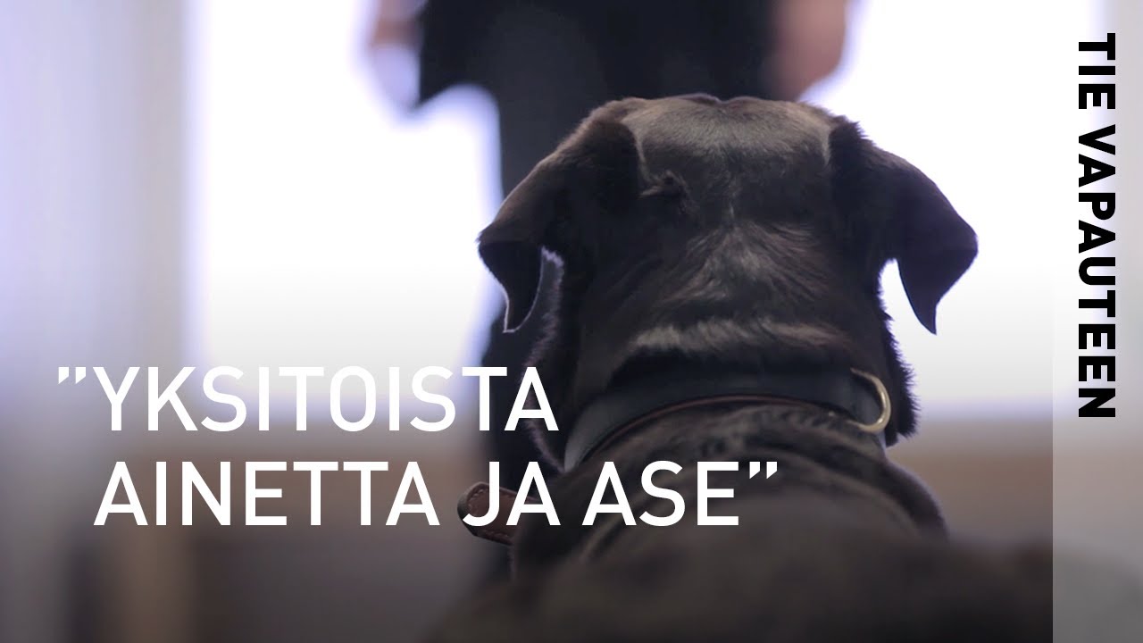 Tie vapauteen – koiranohjaajan tarina (tekstitetty suomeksi)