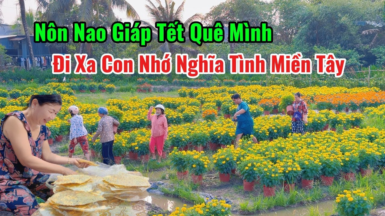 Ngày 23 Tết Nhà Nhà Rủ Nhau Đi Mua Bông Tất Bật ĐƯA ÔNG TÁO VỀ TRỜI
