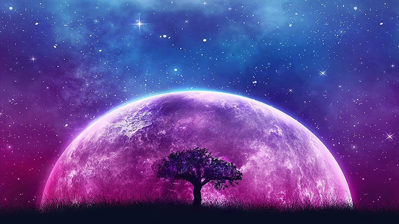 novo amor - haven (slowed + reverb)