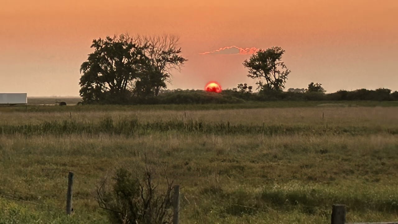 Foxtails and Fire 