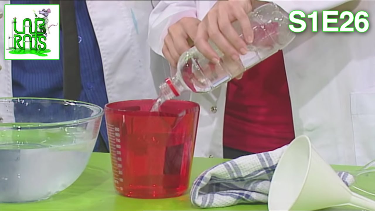 Labrats Challenge | S1E26