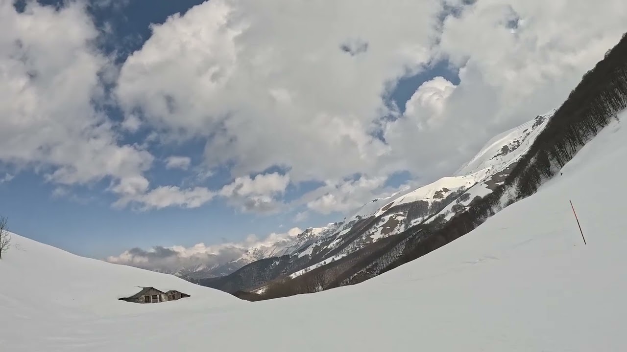 LIMONE SEGRE_02032026