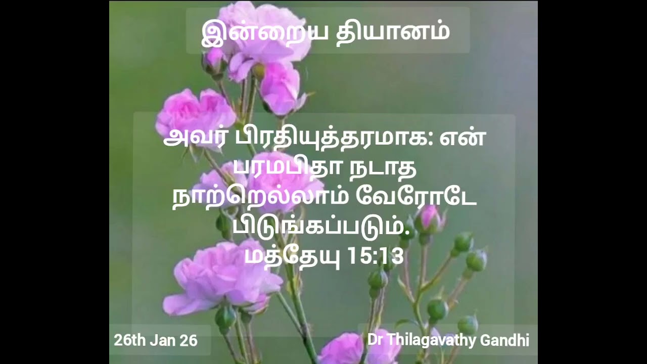 பரமபிதா நடாத நாற்று