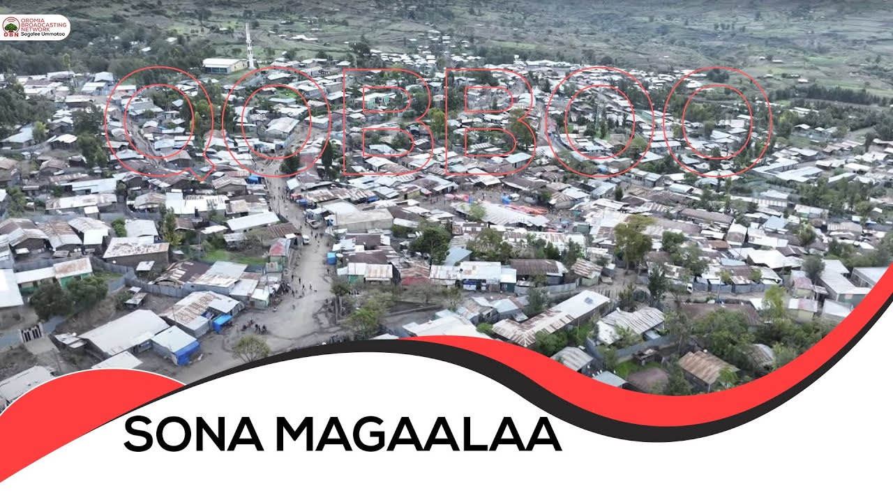 Qophii Sona Magaalaa