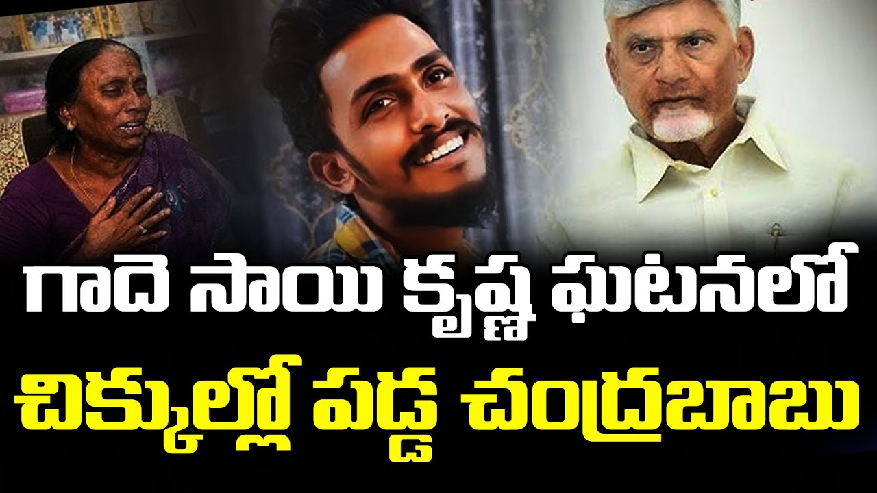 చిక్కుల్లో చంద్రబాబు | Big Shock To Chandrababu In Sai Krishna Case | PDTV News
