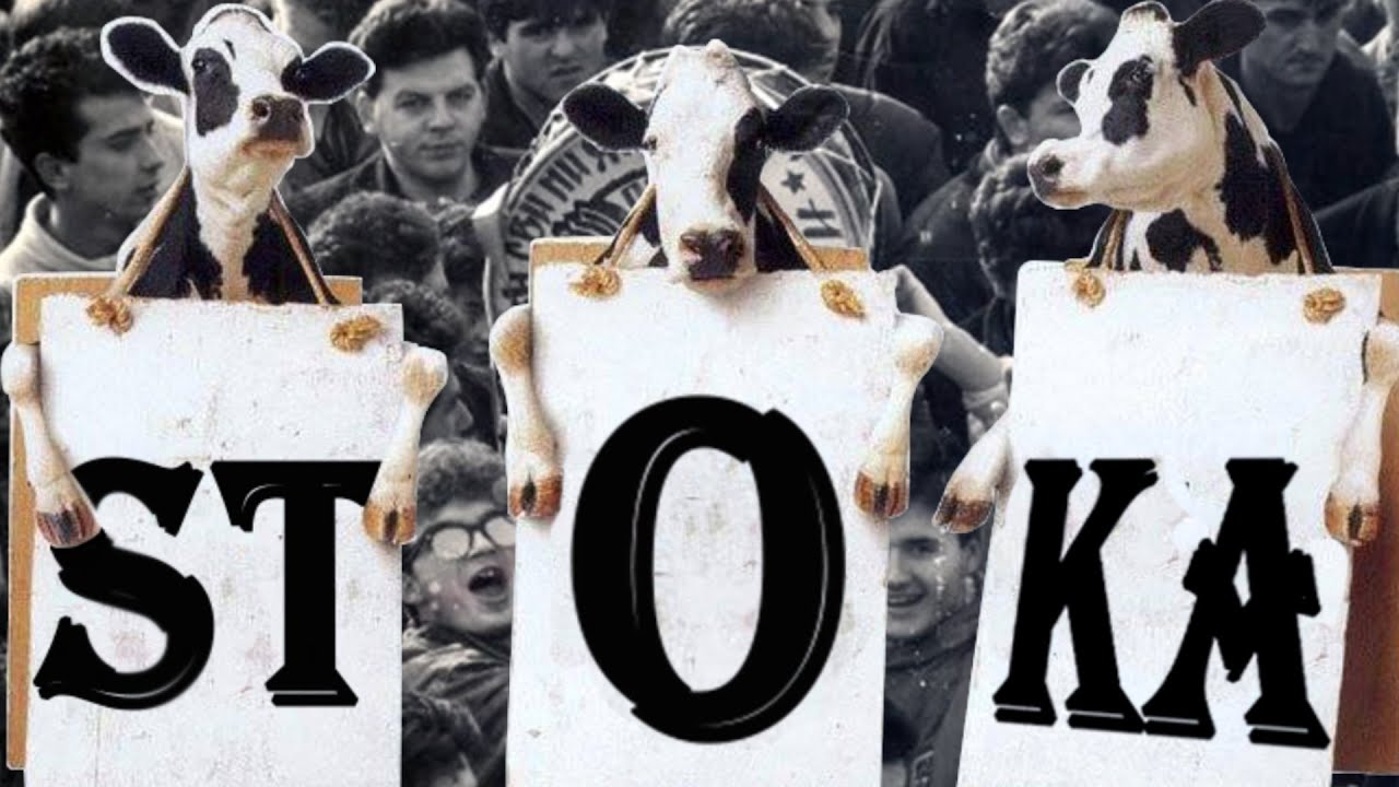 Grupa JNA - STOKU NA JUG *** OFFICIAL SPOT ***