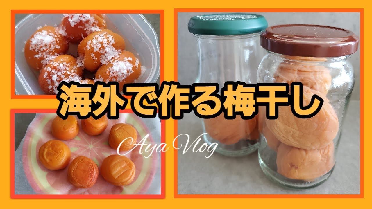 【vlog#39】海外で作る梅干し｜アプリコットで作る本格梅干し｜UMEBOSHI｜梅しごと