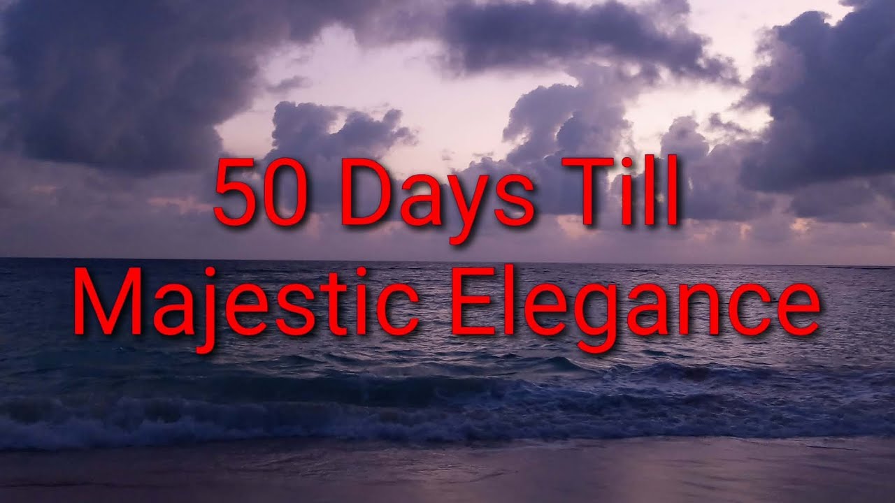 Majestic Elegance Punta Cana - Must have items