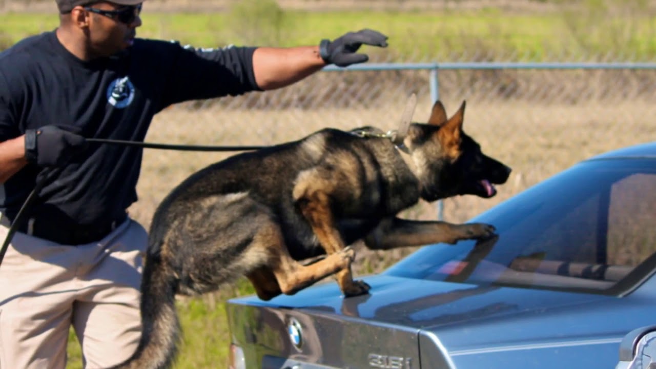 US K9 Promo Video 2013