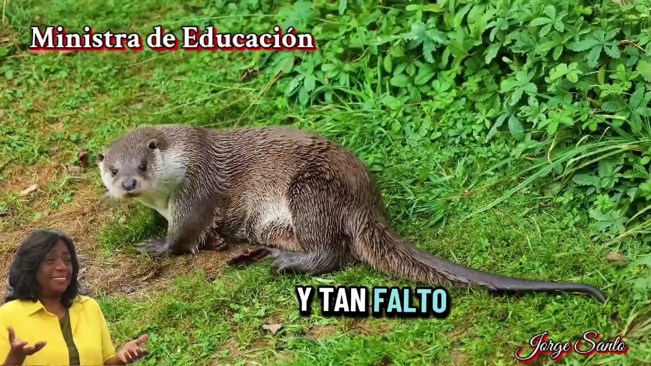  La ministra chabacana 