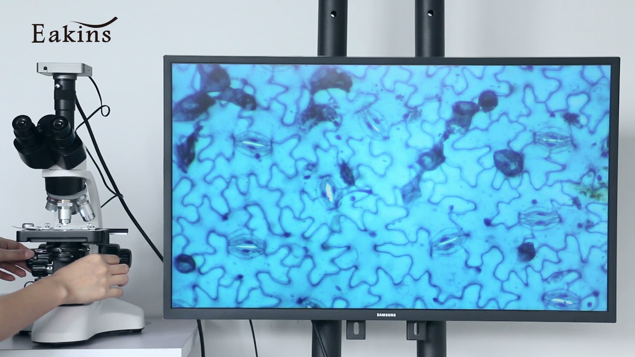 40 - 1600X 2000X 2500X Laboratory Professional Biological Microscope Trinocular