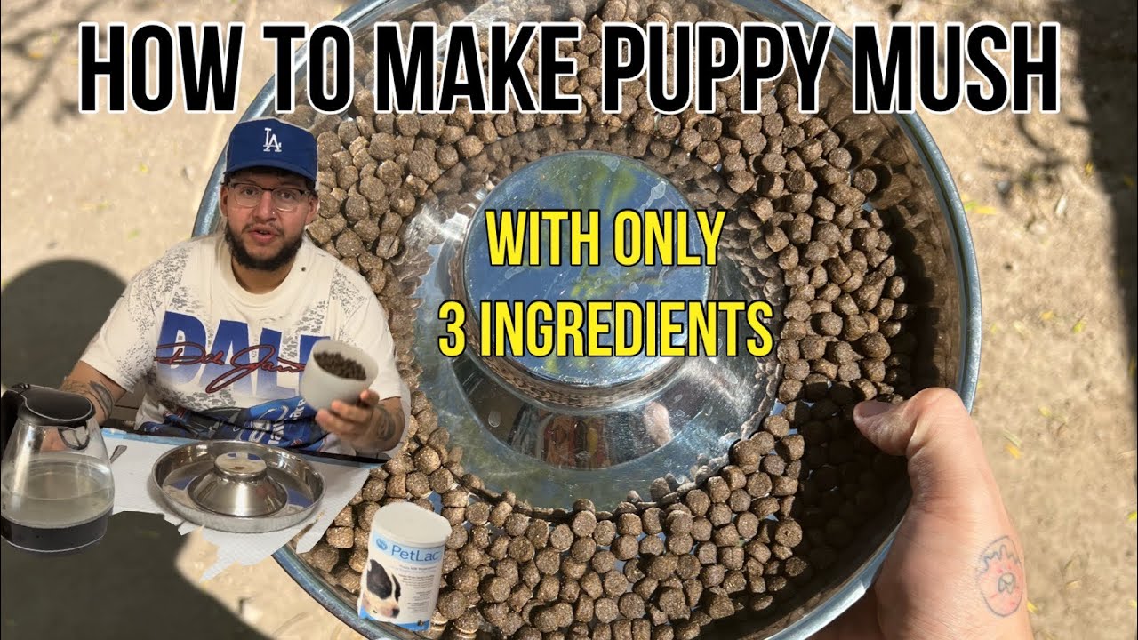 How to make puppy mush with your own kibble