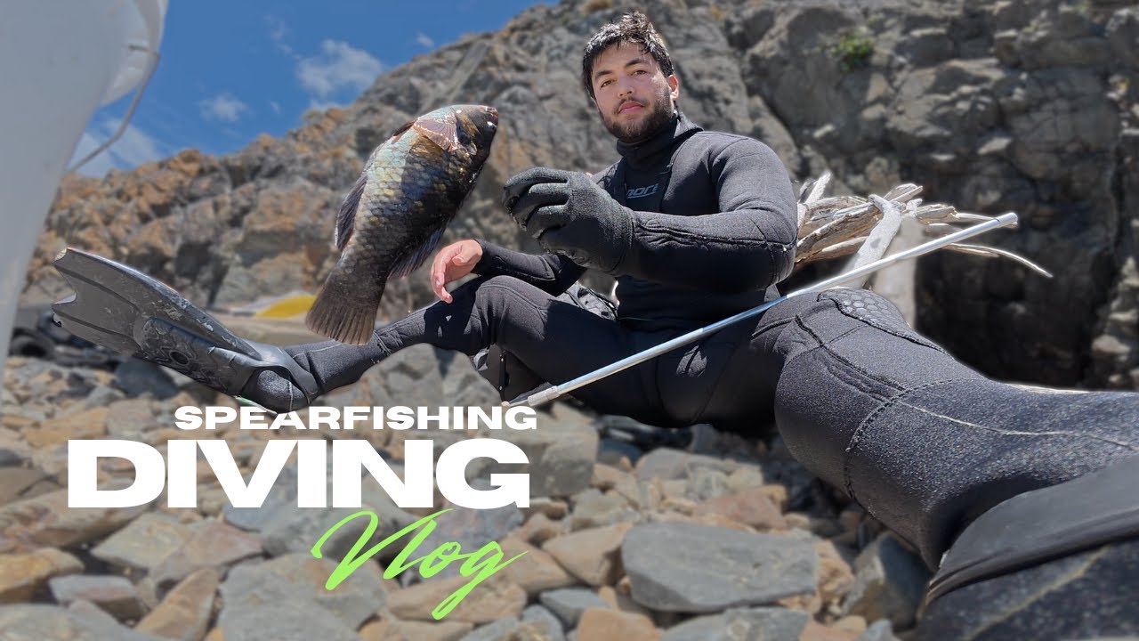 FIRST SPEARFISHING TRIP || Fish, Paua, Kina, Octopus || Makara Beach