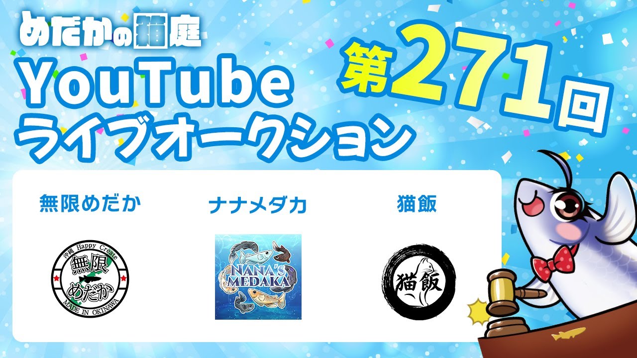 めだかの箱庭 第271回 Youtubeライブオークション メダカ 紹介ラインナップ