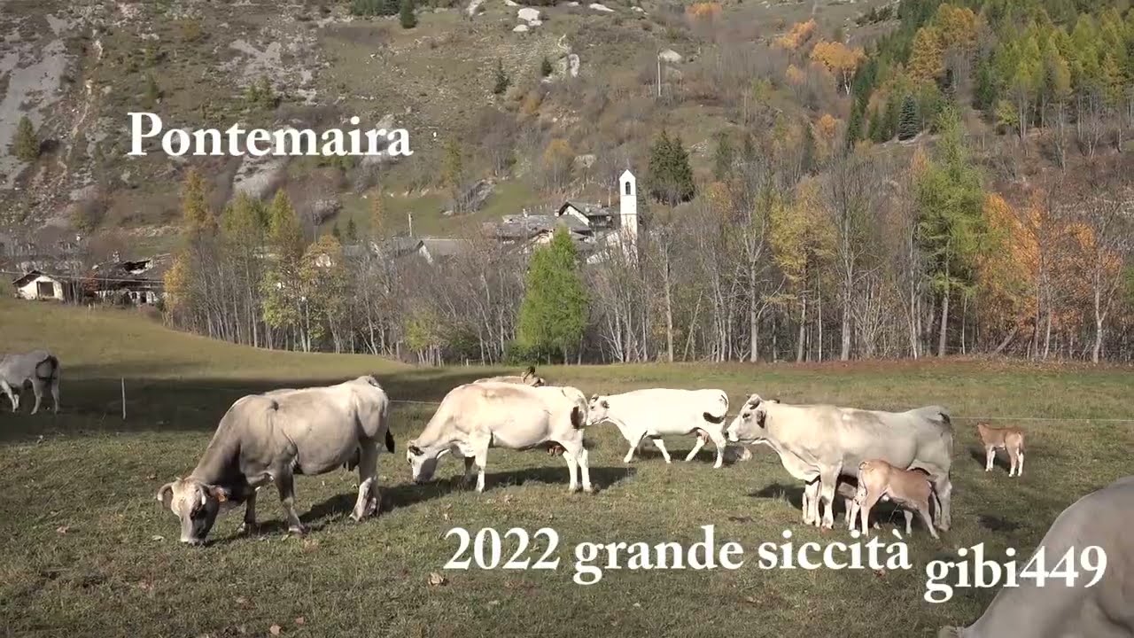 Marghé e Bergé in V.  Maira 2023