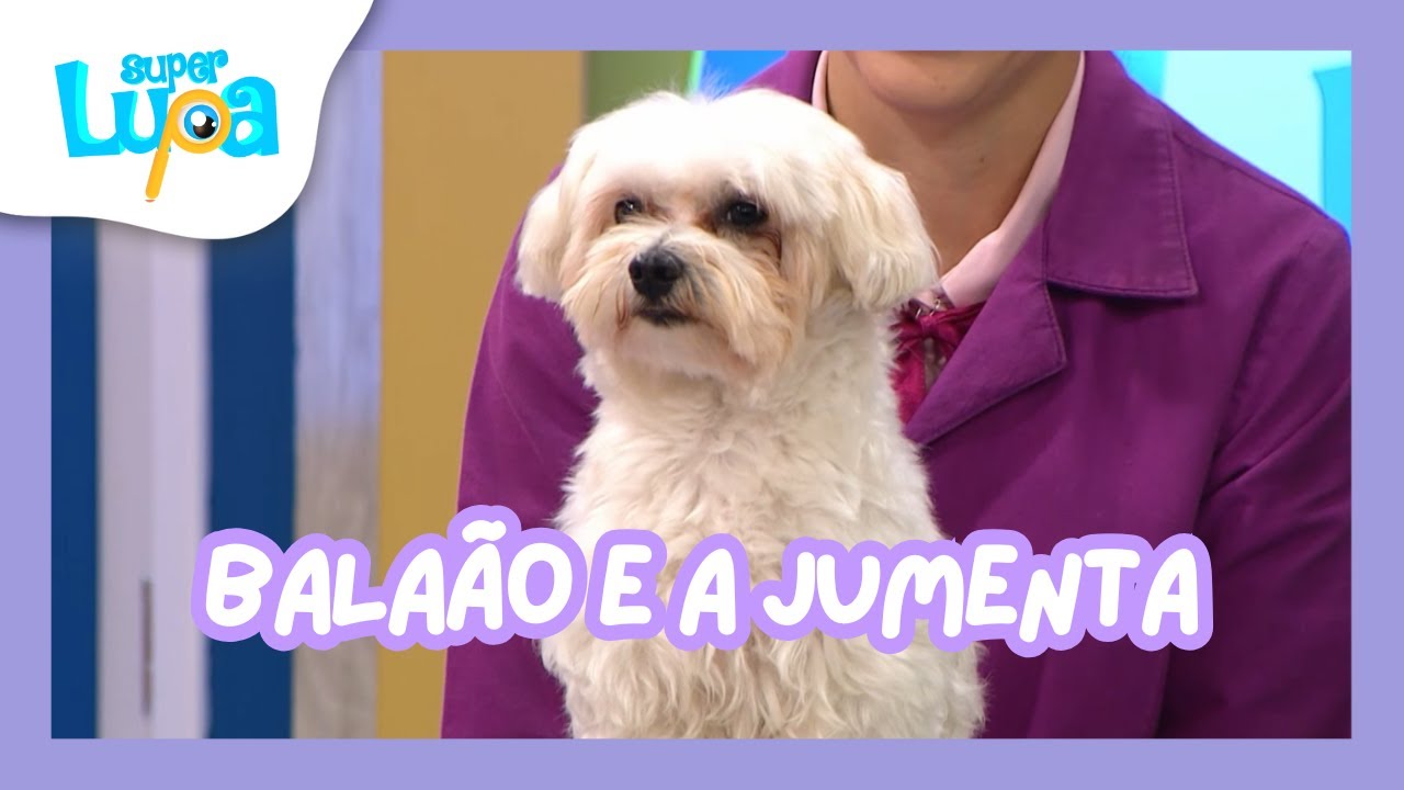 BALAÃO E A JUMENTA - SUPER LUPA