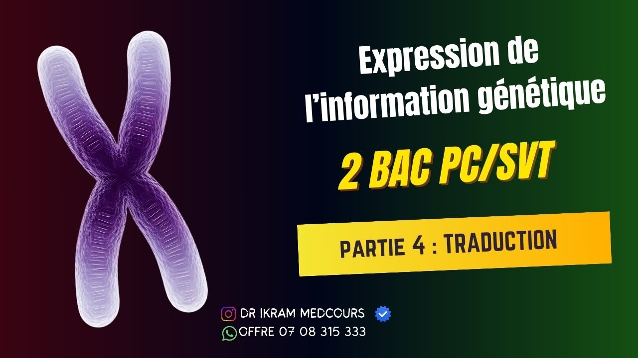 La traduction - Expression de l'information génétique 2 BAC PC/SVT