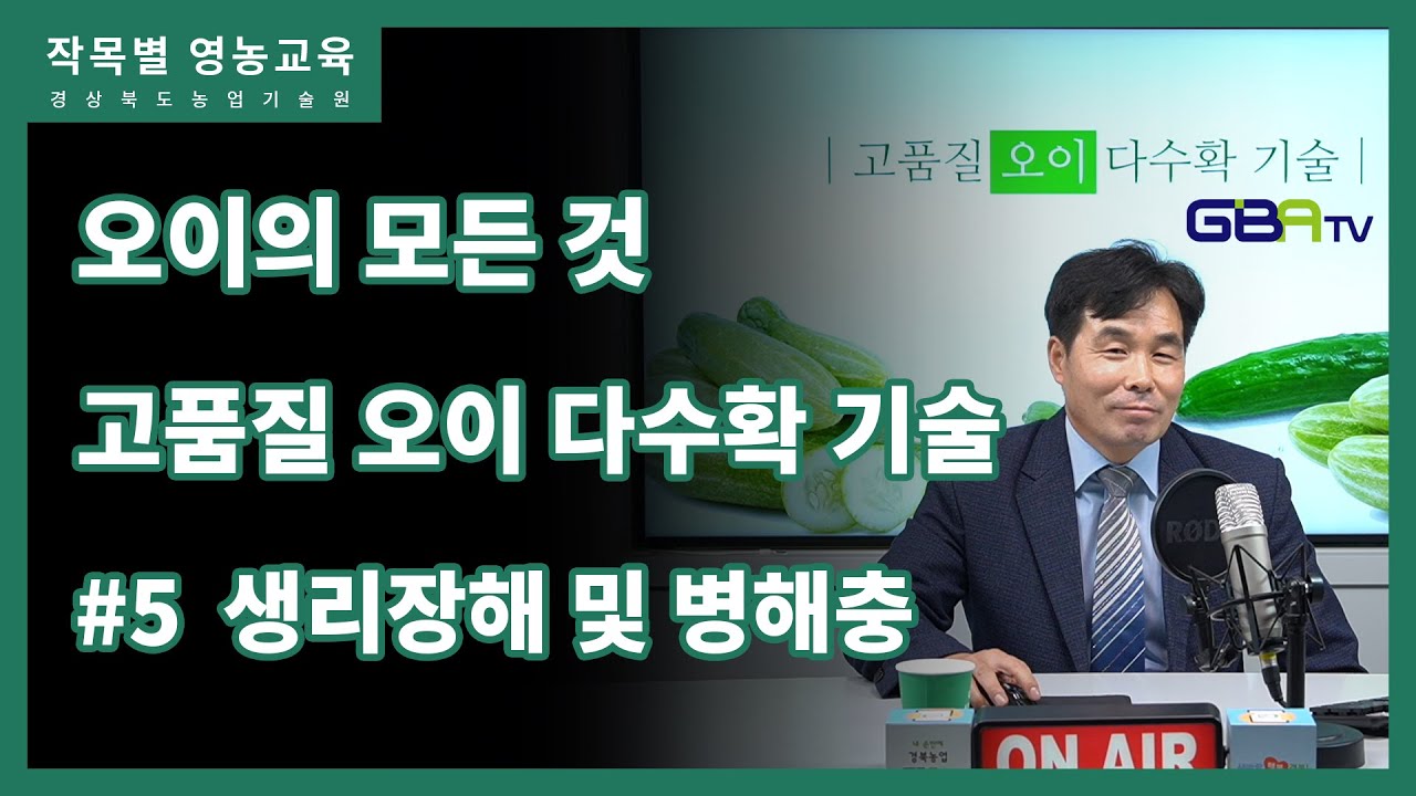 고품질 오이 다수확 기술 5편 - 생리장해 및 병해충방제