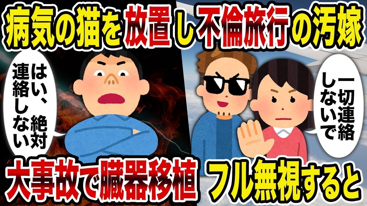 【総集編vol.21】病気の猫を放置し不倫旅行の汚嫁→大事故で臓器移植フル無視した結果【作業用】【睡眠用】