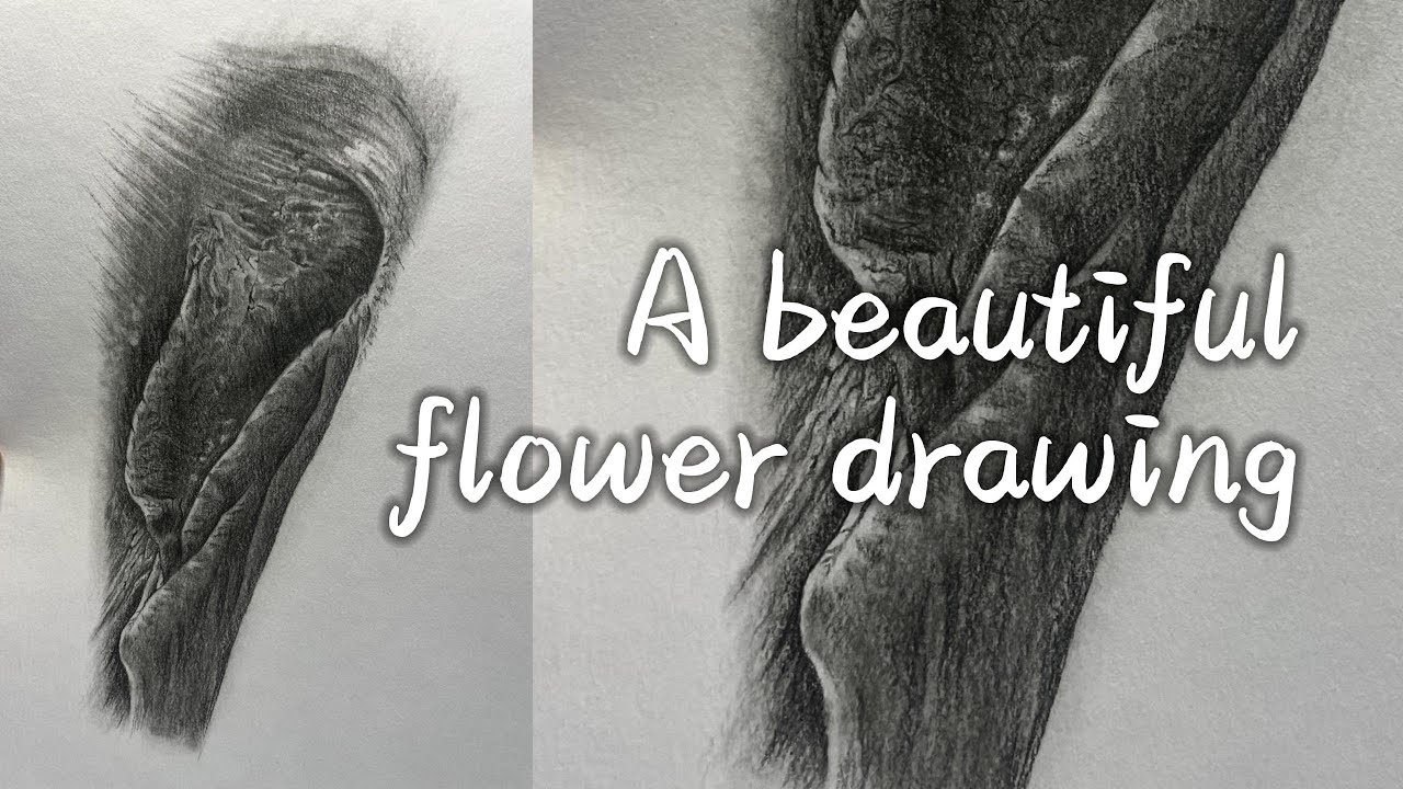Texture structure draw