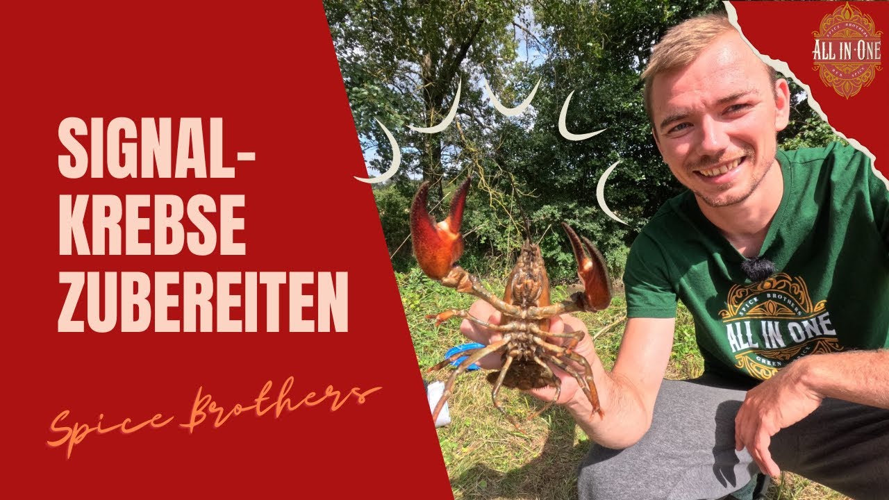 Catch and Cook🦀 Leckere Signalkrebse zubereiten - Einfaches Rezept für Flusskrebse 🍽️