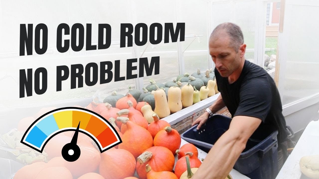 Grow These Crops if You Don't Have Cold Storage