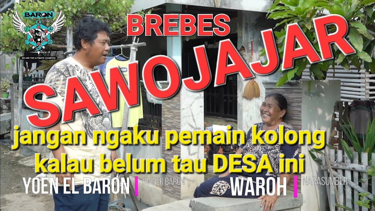 WAJIB TAHU !!! SAWOJAJAR BREBES, Desa Paling Bersejarah dalam dunia Merpati Kolong Bebasan