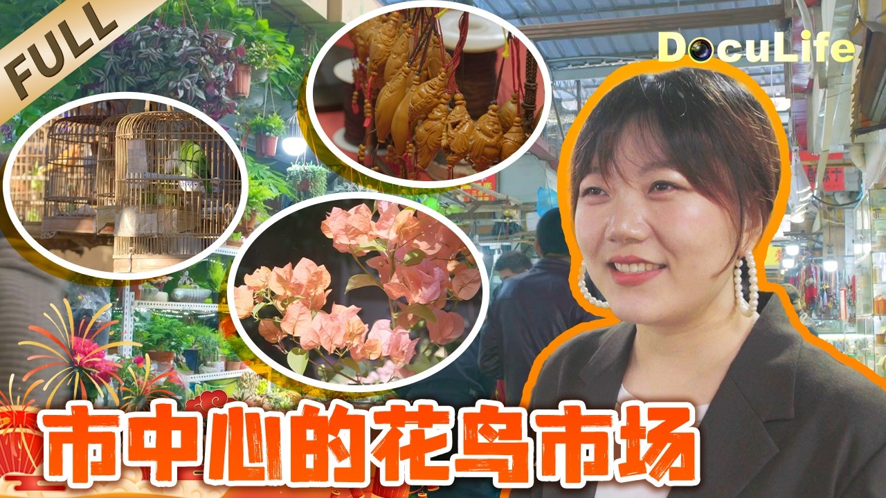 上海黄浦20年老花鸟市场！在虫鸣花香里 遇见上海的烟火与温柔《市中心的花鸟市场》【DocuLife-SMG真实传媒】