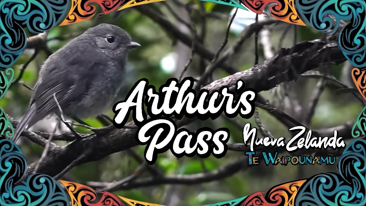 Nueva Zelanda isla sur. Episodio 2: Arthur´s Pass