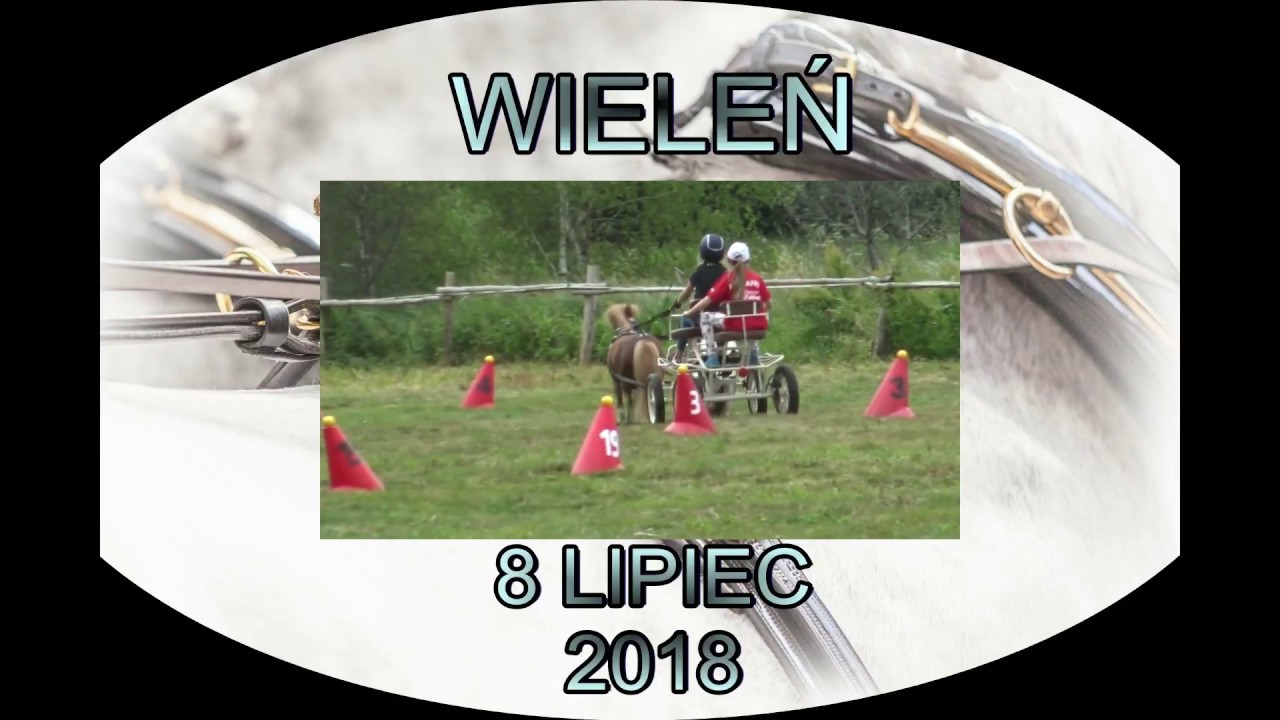 WIELEŃ 2018 RANCZO RUBIN TADEUSZ ANDRYS AMATORSKIE ZAWODY W POWOŻENIU