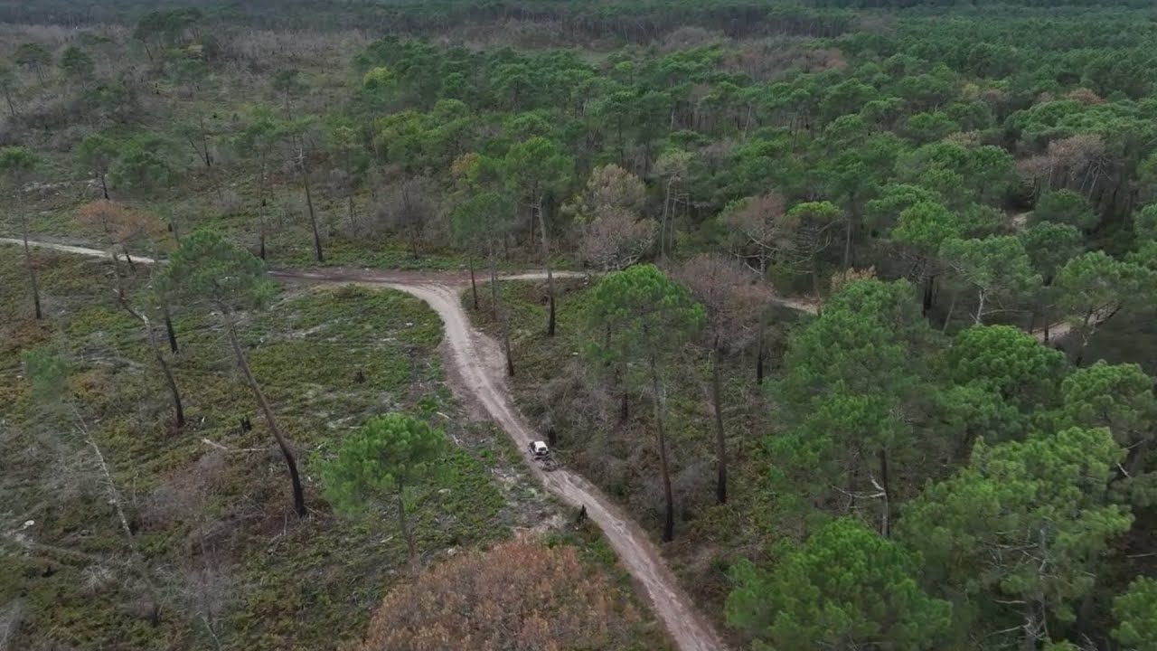 Réouverture de la forêt usagère de la Teste de Buch