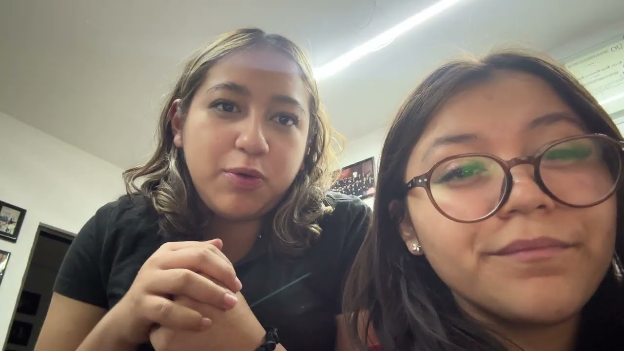 Entrevista- Fundamentos de Sistemas de información y programación 