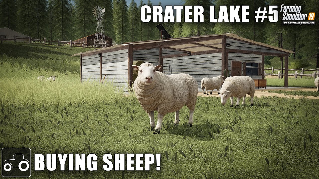 Buying Sheep & Making Silage Bales, Crater Lake #5 Farming Simulator 19 Timelapse