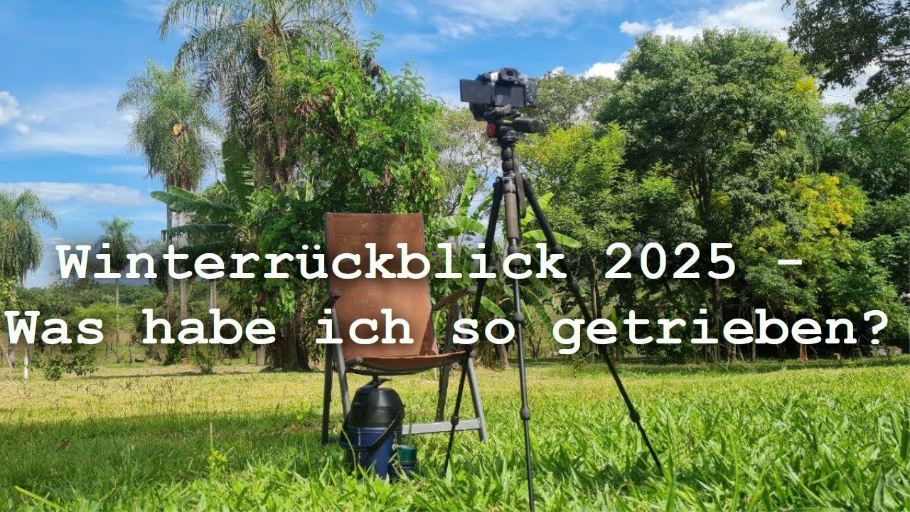 Winterrückblick 2025 - Das habe ich in meiner 