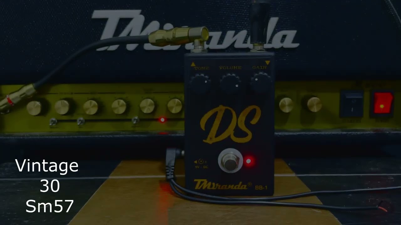 Pedal Distortion Ds & M800 Plus 50w TMiranda