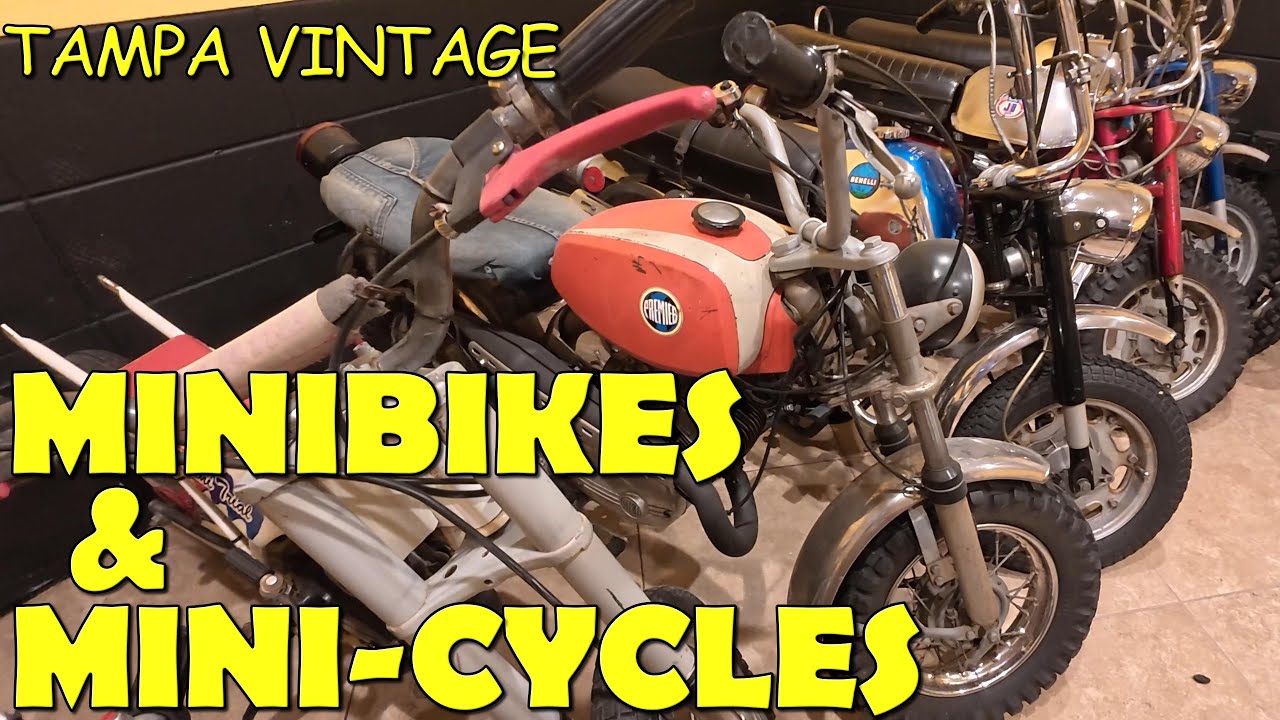 INCREDIBLE STASH OF MINIBIKES, MINI-CYCLES AND MINI-MOTORCYCLES FOUND IN TAMPA