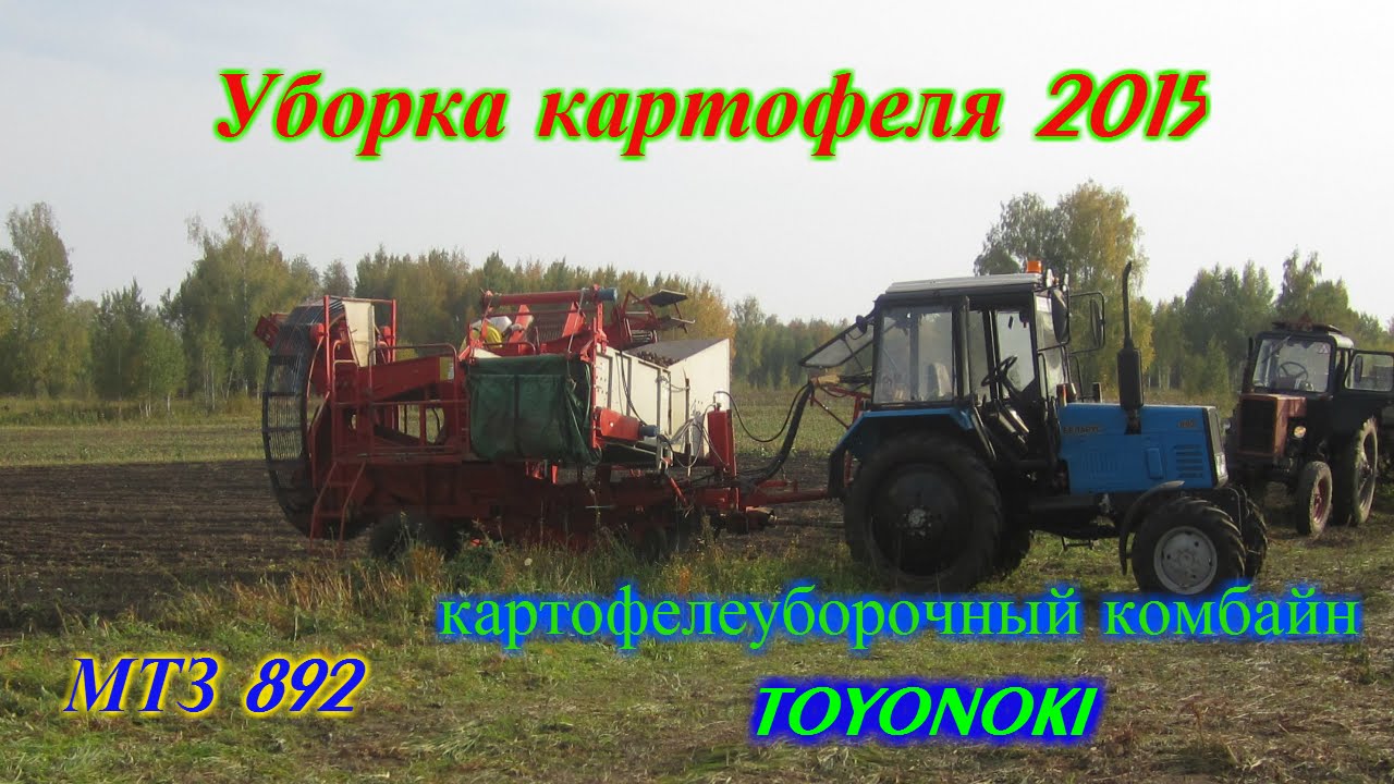 МТЗ 892 уборка картофеля японским комбайном