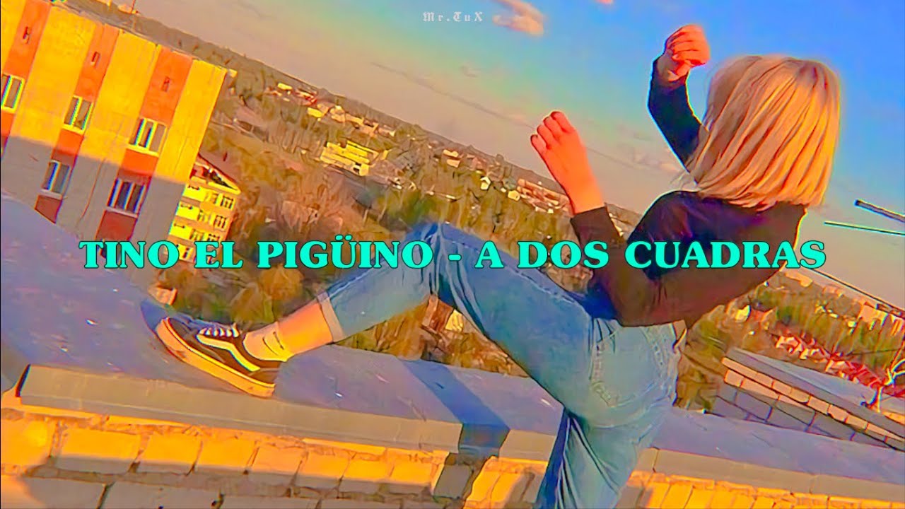 Tino el Pingüino - A Dos Cuadras l Letra