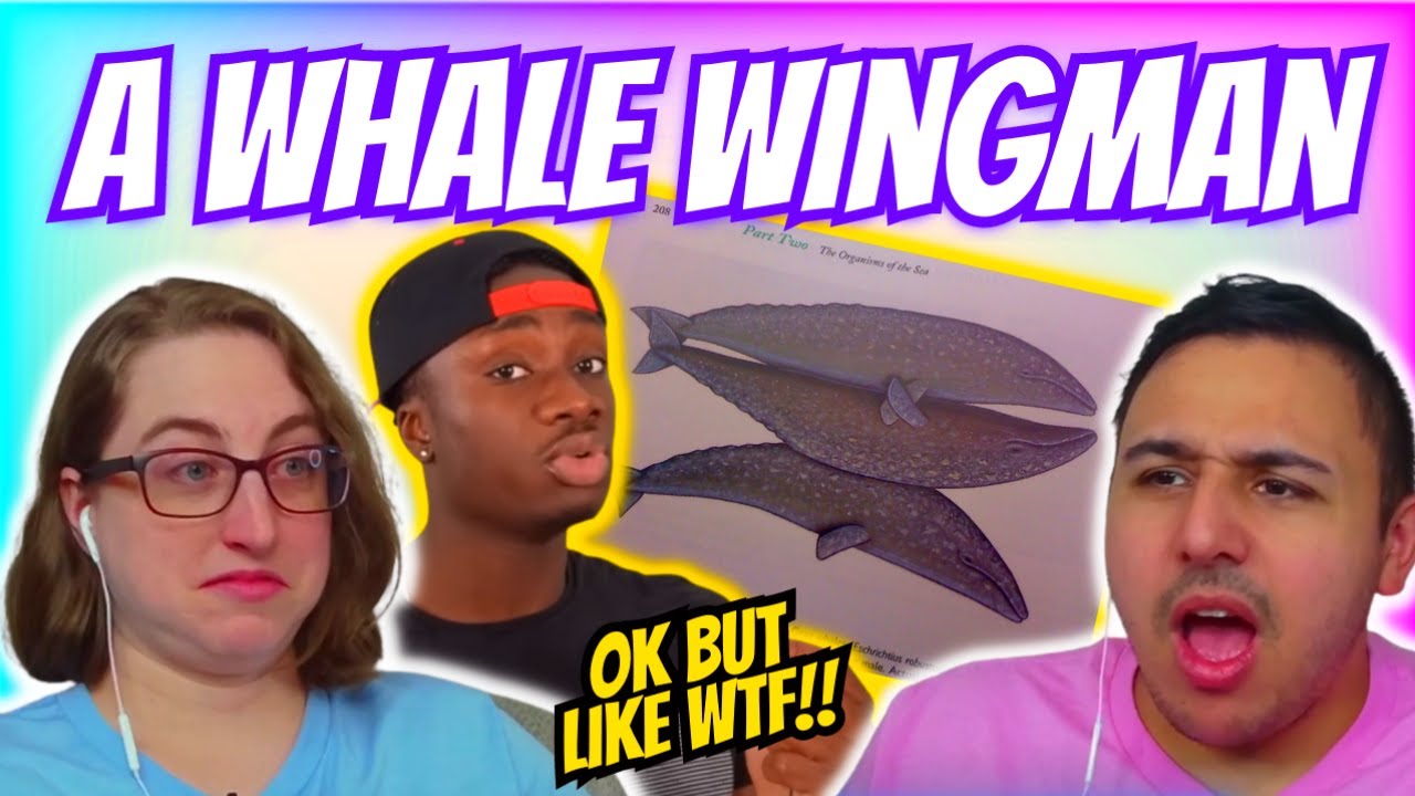 Casual Geographic - Why I'd throat a cactus before I go in the ocean | Eli & Jaclyn REACTION