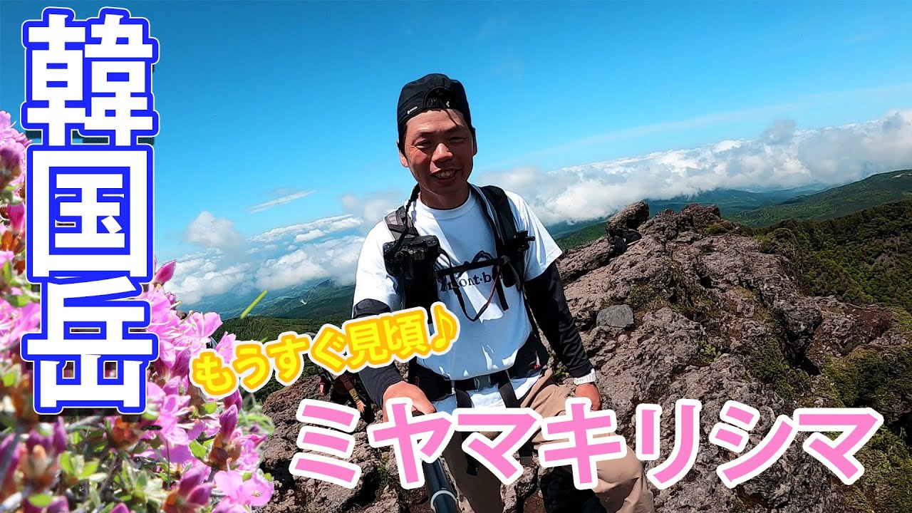 【登山】ミヤマキリシマを見てみたい！九州にある日本百名山霧島山（韓国岳）に登ります♪