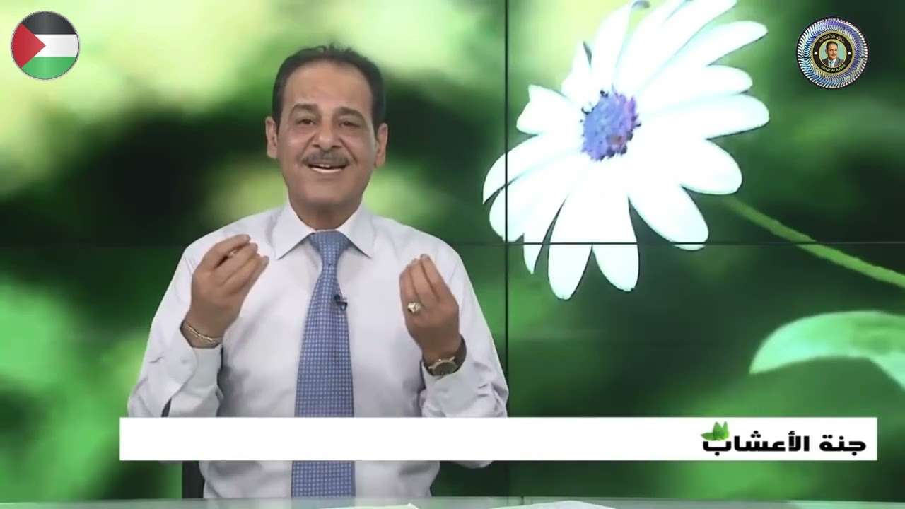 ورق الغار في رمضان : 5 فوئد مذهلة للصيام وصحة الجسم مــع خـبـيـر الأعشاب حسن خليفه