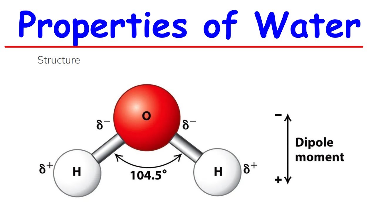 Properties of water full tutorial