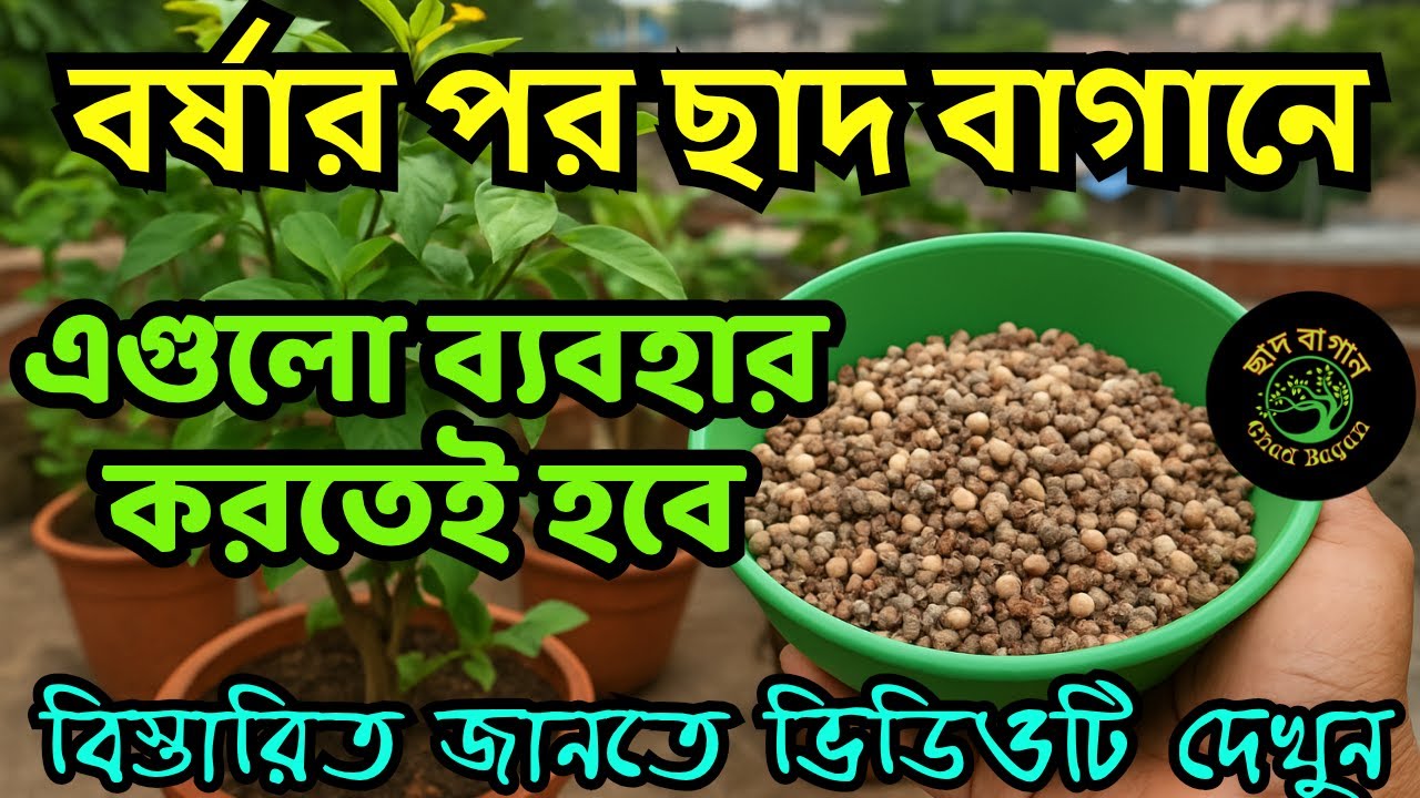 বর্ষার শেষে ছাদ বাগানে মিশ্র জৈব সার | Rooftop Gardening Tips in Bengali | Organic Fertilizer